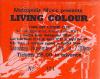 Living Colour 1988 Town & Country ticket