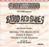 Blood Red Shoes 2014 Portsmouth ticket